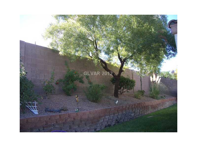 183 Ruby Ridge Avenue Henderson, NV 89002 - Photo 16 of 19 Yard/Garden.