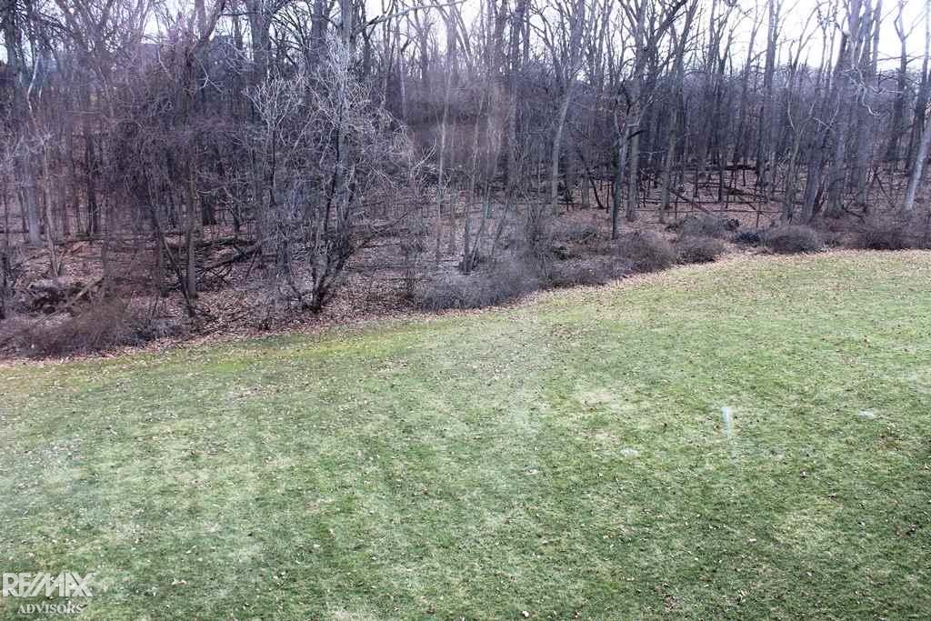 5556 Abbey Drive Rochester, MI 48306 - Photo 15 of 75 31313650-14.JPG
