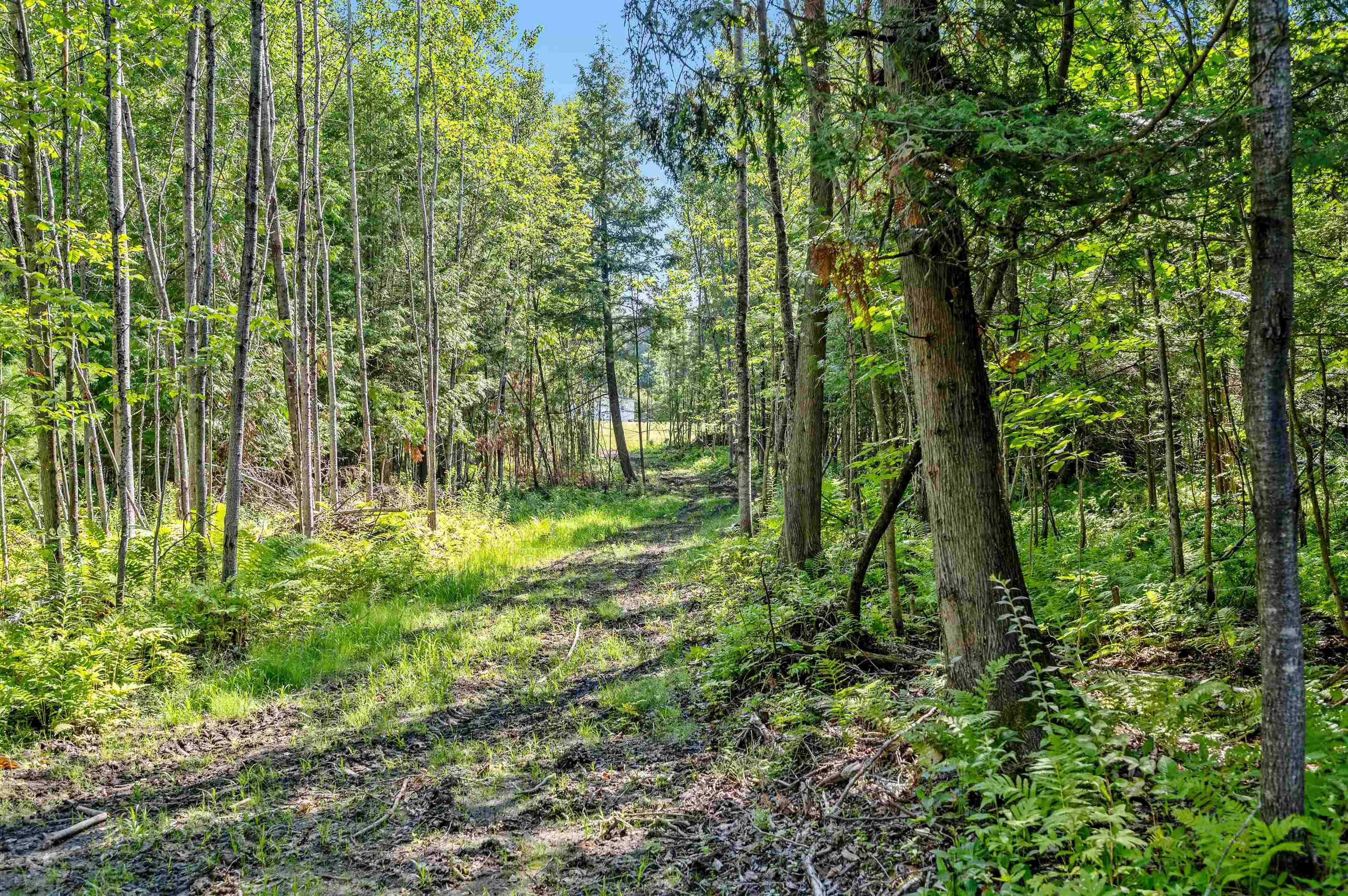0 Middle Road, Unit 1 AND 2 Graniteville, VT 05654 - Photo 17 of 29 Gallery Image 17
