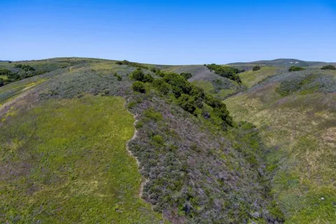 a view of a green field