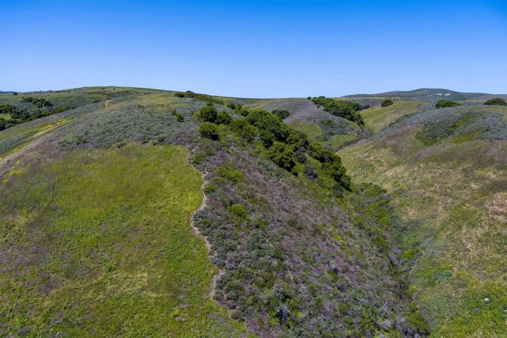 0 Sweeney Road Lompoc, CA 93436 - Photo 24 of 36 a view of a green field