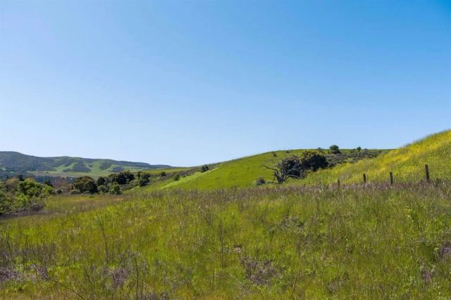 a view of a lush green forest with mountains in the background