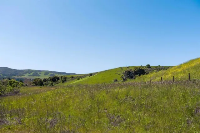 a view of a lush green forest with mountains in the background