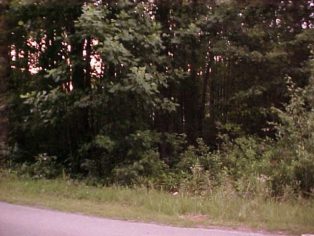24 Rackley Lane Easley, SC 29642 - Photo 3 of 3 Gallery Image 3