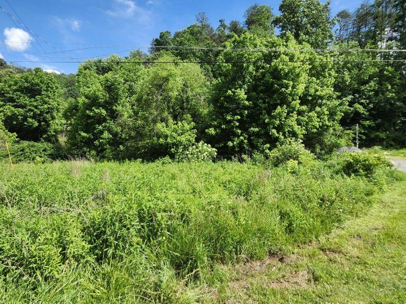 0 Henderson Springs Road Sevierville, TN 37863 - Photo 3 of 6 a view of a garden