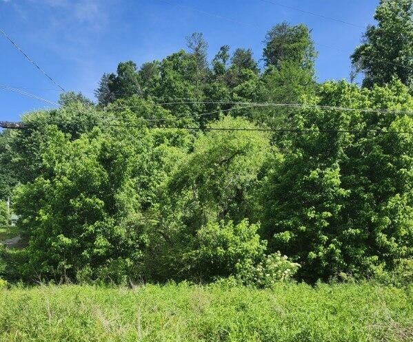 0 Henderson Springs Road Sevierville, TN 37863 - Photo 4 of 6 an aerial view of a house with a yard
