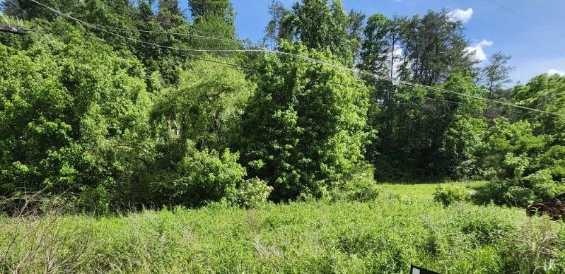 0 Henderson Springs Road Sevierville, TN 37863 - Photo 6 of 6 a view of a lush green forest