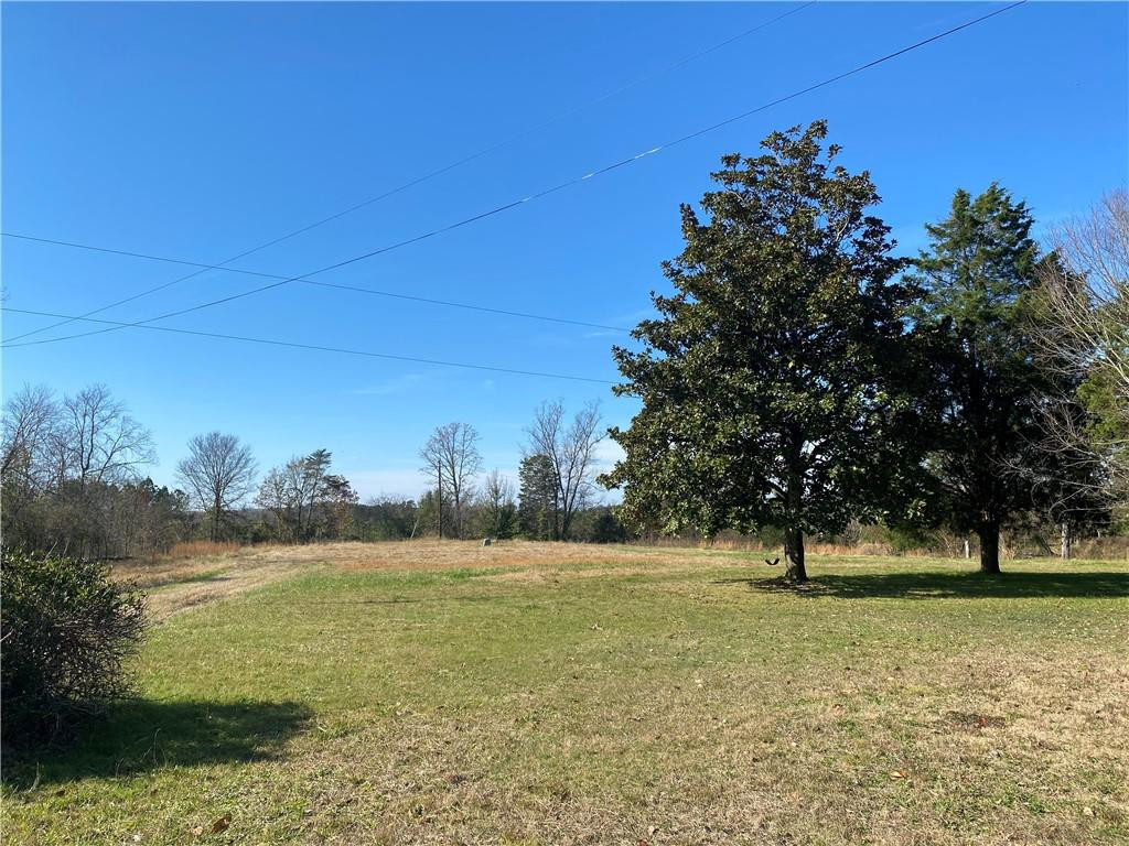 30.77-acre Maurice Daniels Road Roxboro, NC 27574 - Photo 1 of 7 a view of yard with tree
