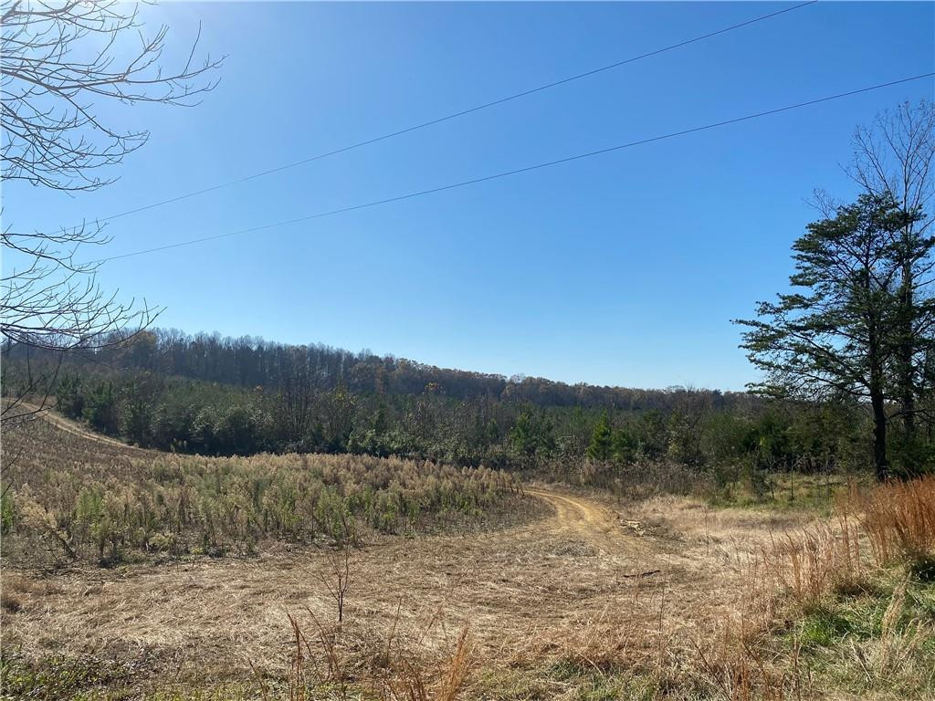 30.77-acre Maurice Daniels Road Roxboro, NC 27574 - Photo 2 of 7 a view of a valley