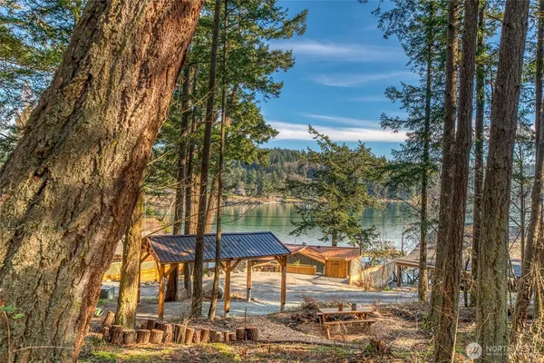 a view of a chairs and table in backyard