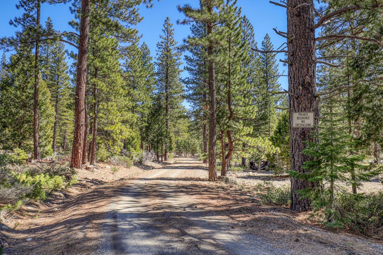 1711 Smith Lake Road Graeagle, CA 96103 - Photo 23 of 26 a view of backyard space with trees