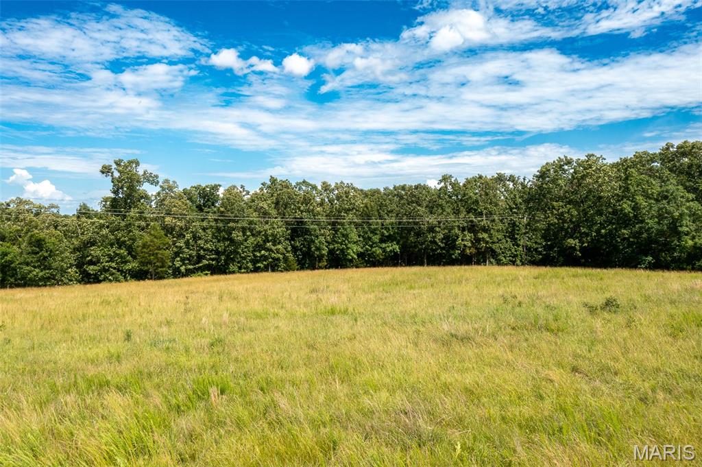 4 Bcr 924 Patton, MO 63662 - Photo 22 of 24