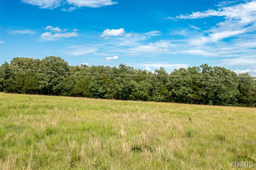 4 Bcr 924 Patton, MO 63662 - Photo 23 of 24