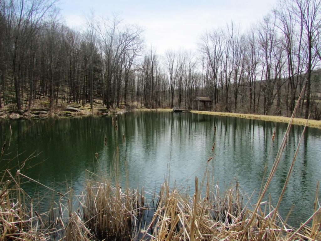 1414 Steam Hollow Road Hallstead, PA 18822 - Photo 31 of 36 Gallery Image 31