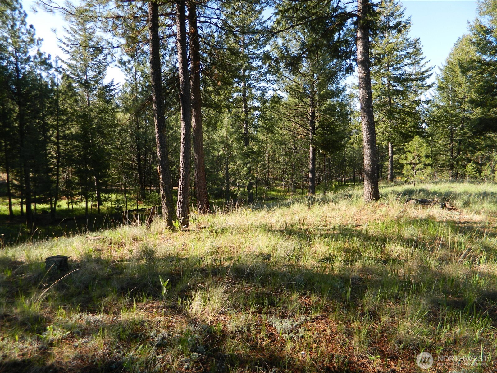 151 Indian Mary Loop Road Tonasket, WA 98855 - Photo 15 of 20