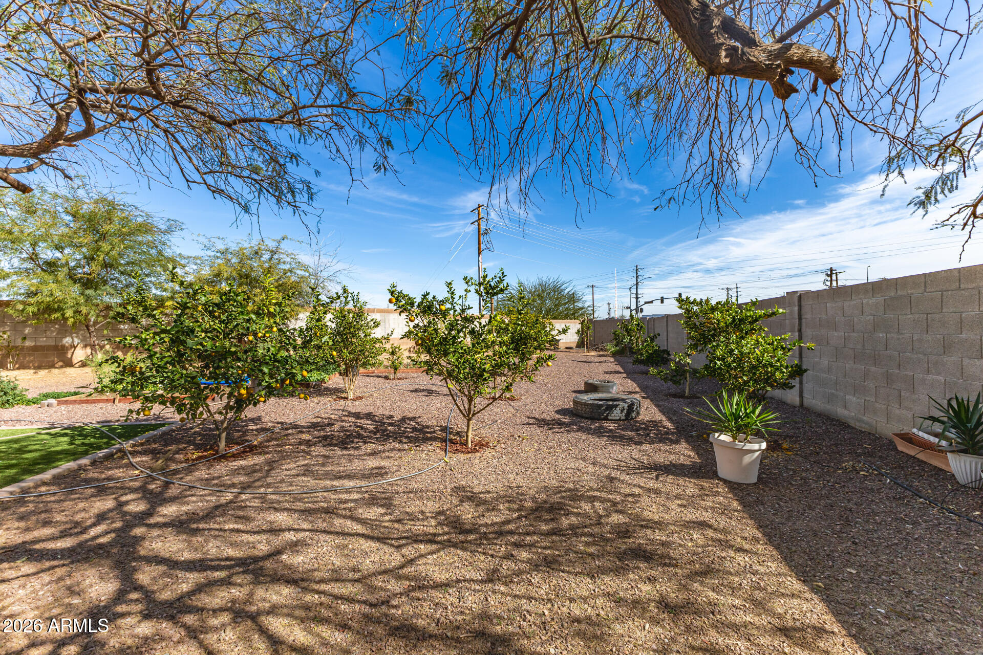 10762 West Joblanca Road Avondale, AZ 85323 - Photo 36 of 36 a view of a yard with plants and trees