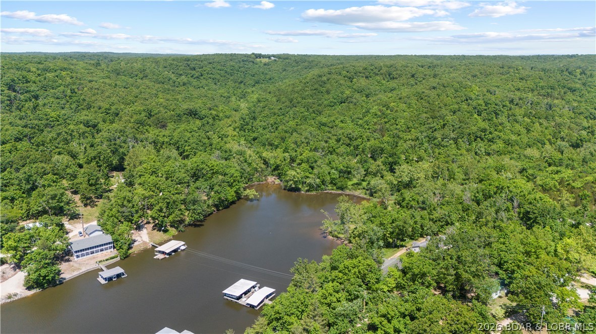 5-acres Pirates Pirates Cove Road Camdenton, MO 65020 - Photo 9 of 30