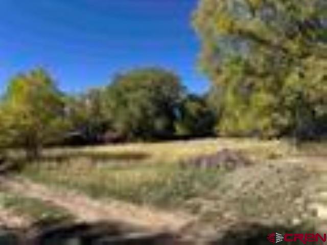 1-2 Price Road Paonia, CO 81428 - Photo 2 of 8