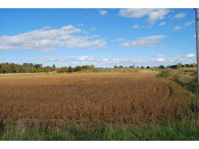 911 Erie Road Green Bay, WI 54311 - Photo 3 of 4