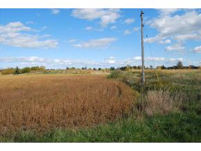 911 Erie Road Green Bay, WI 54311 - Photo 4 of 4