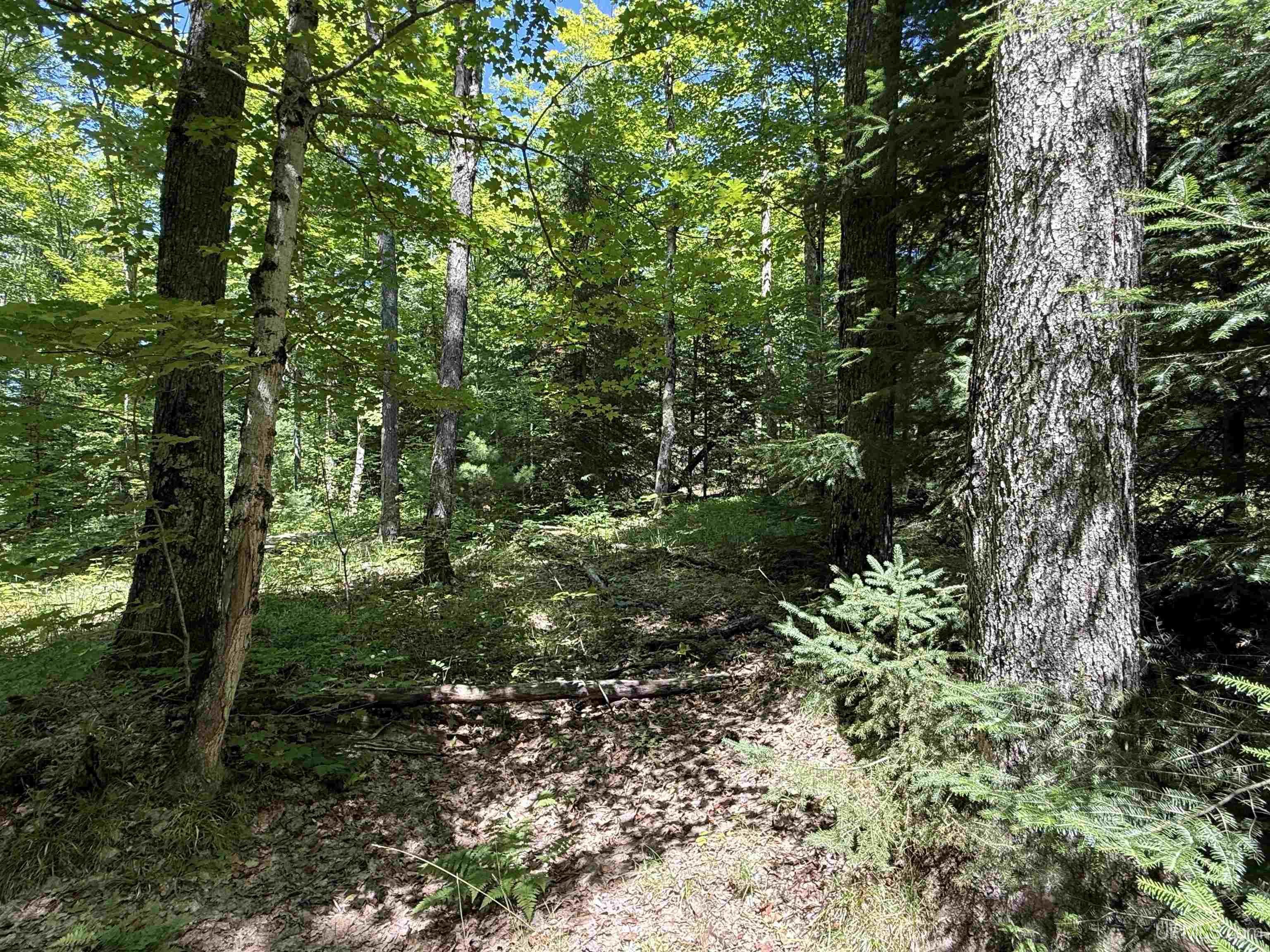 33.85-acres East Cable Lake Road Crystal Falls, MI 49920 - Photo 9 of 13