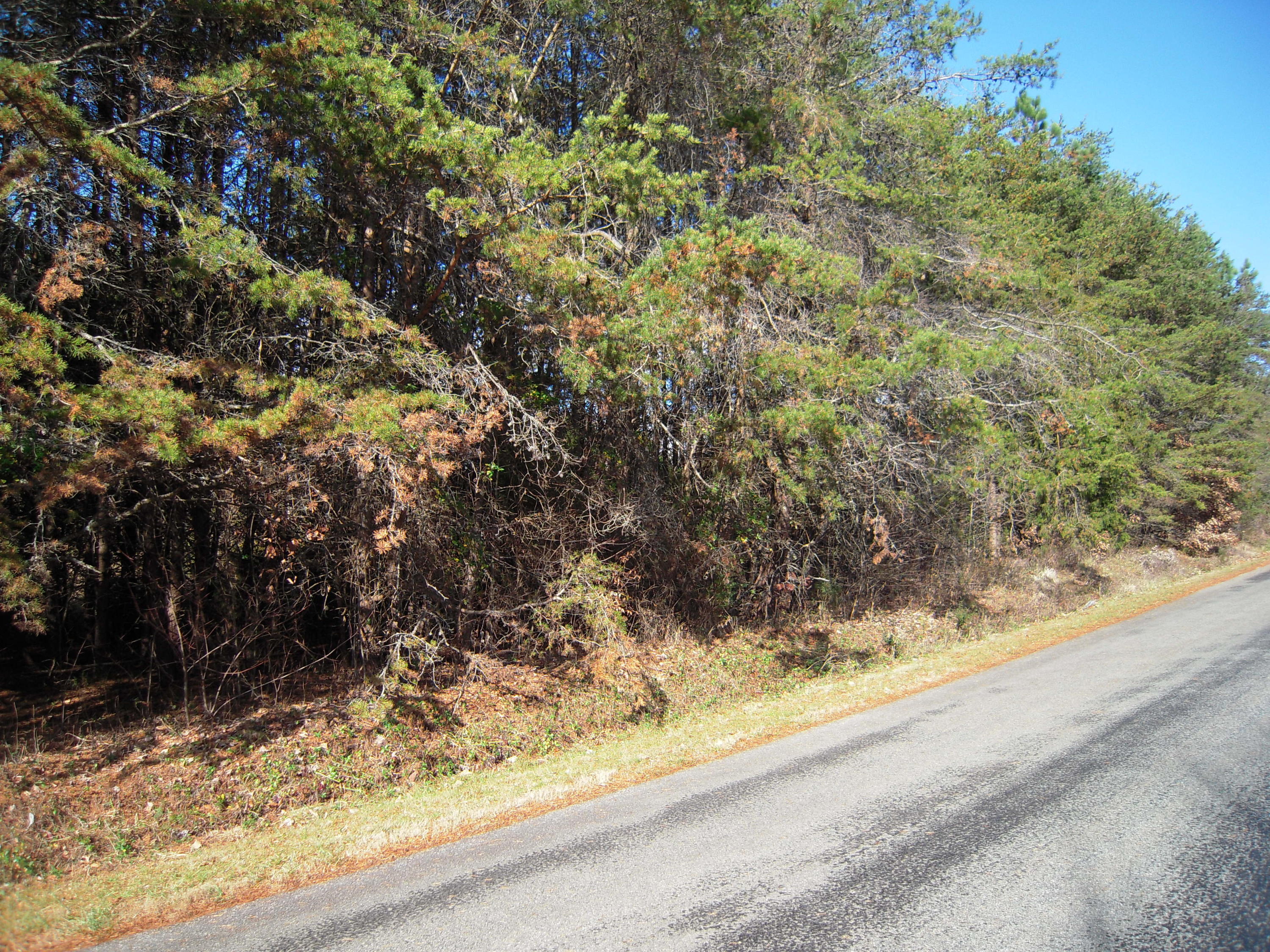 Lot 3 Dove Road Union Hall, VA 24176 - Photo 1 of 9 Road Frontage