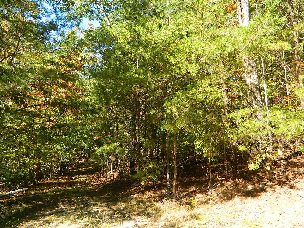 0 Miller Drive, Unit LOT #5 Rising Fawn, GA 30738 - Photo 3 of 4 DSCN6520