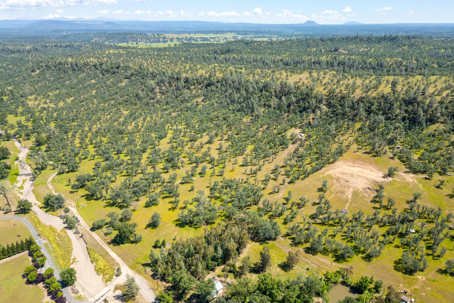 0 Racoon Way Oak Run, CA 96069 - Photo 17 of 39 Racoon024