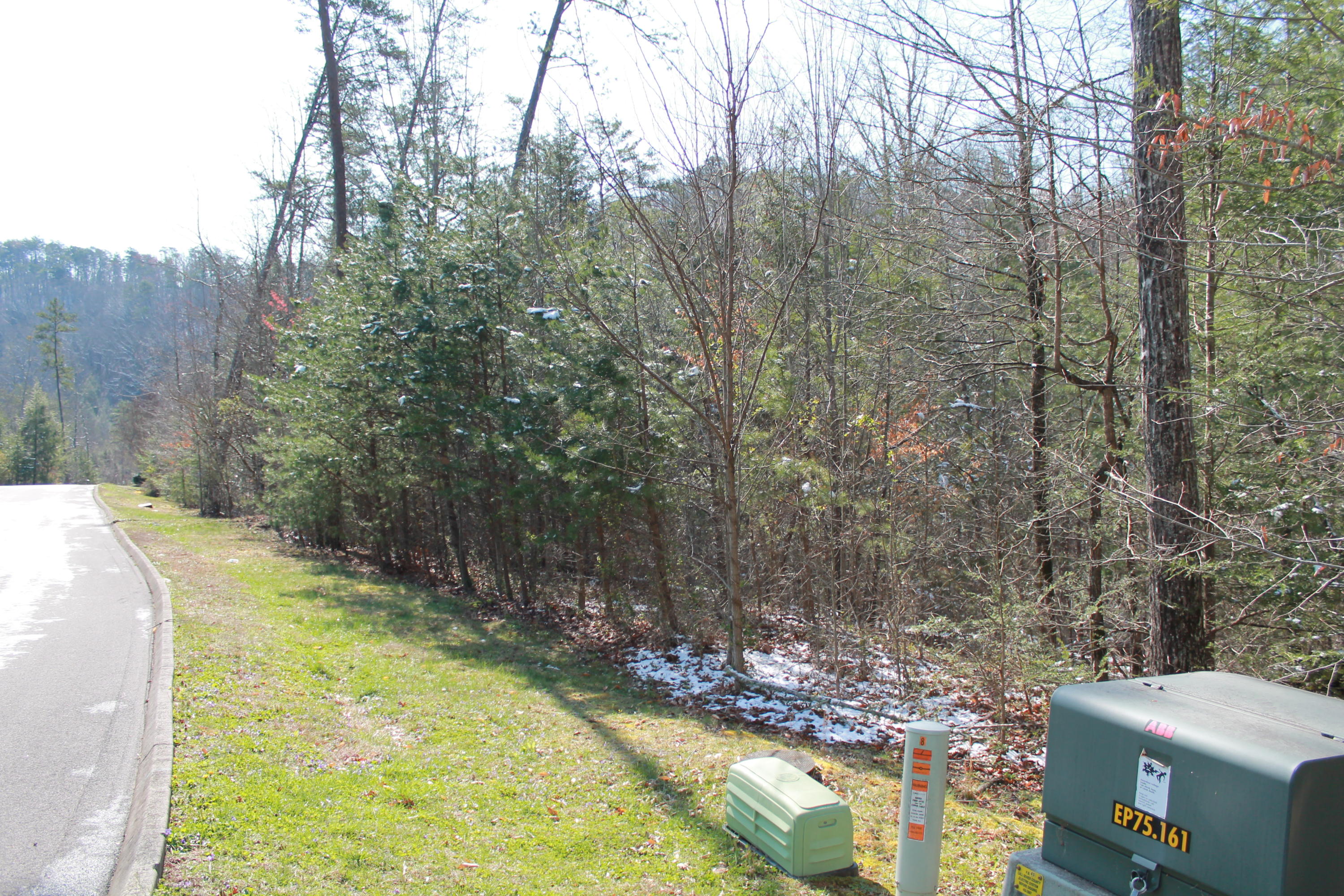 Lot 89 Smoky Cove Road Sevierville, TN 37876 - Photo 1 of 9 IMG_8514