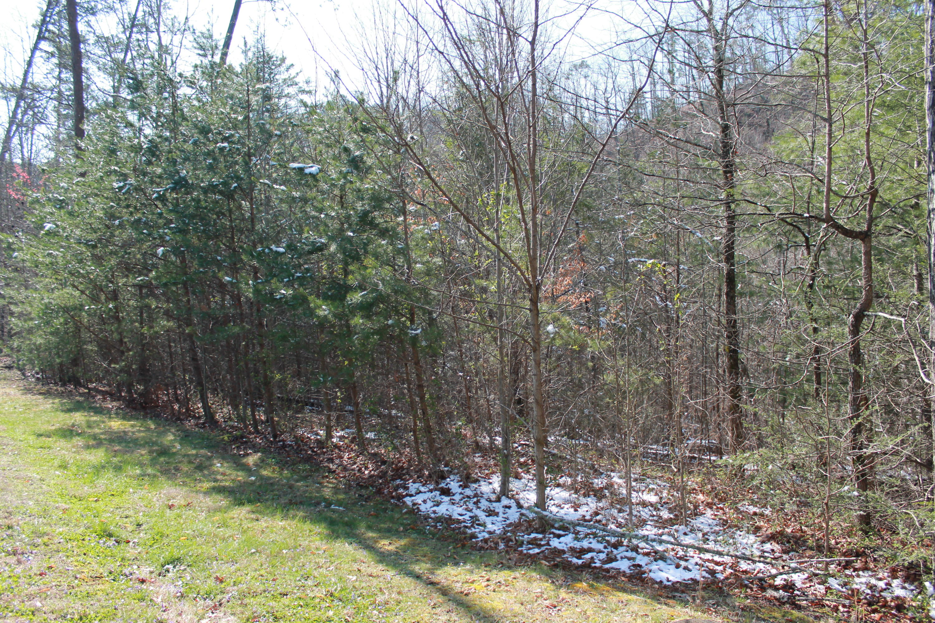 Lot 89 Smoky Cove Road Sevierville, TN 37876 - Photo 5 of 9 IMG_8520