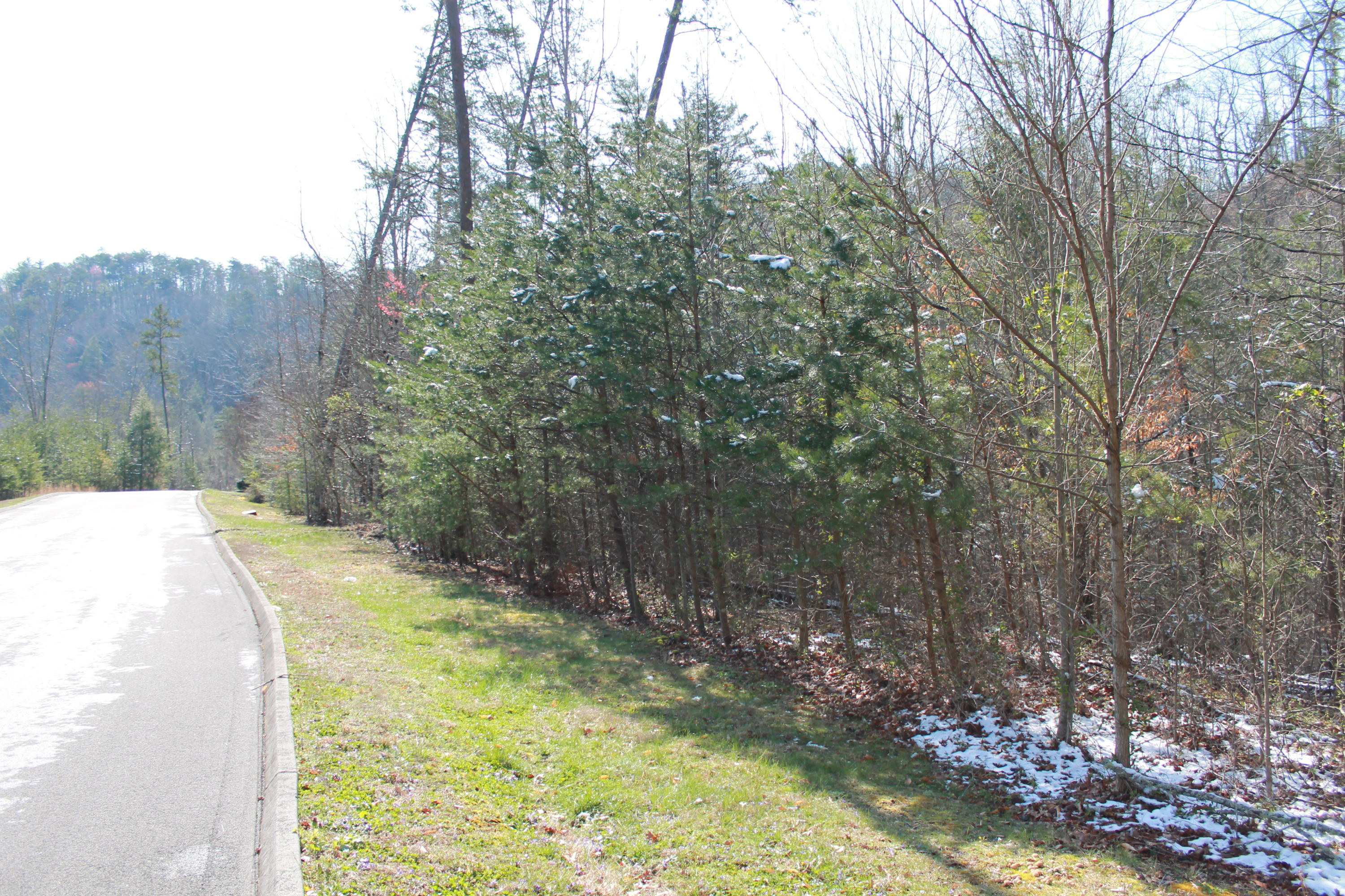 Lot 89 Smoky Cove Road Sevierville, TN 37876 - Photo 6 of 9 IMG_8521