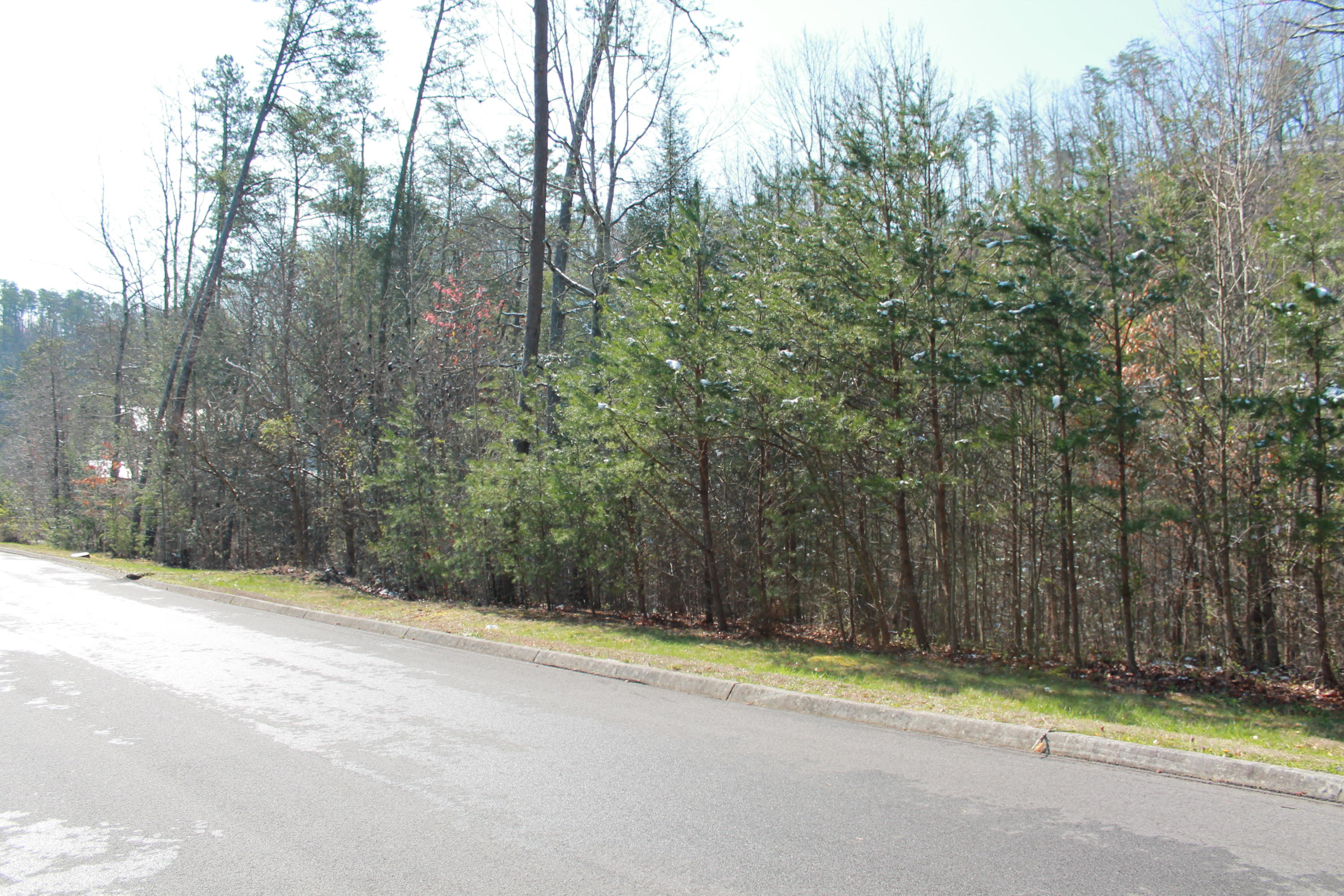 Lot 89 Smoky Cove Road Sevierville, TN 37876 - Photo 8 of 9 IMG_8523