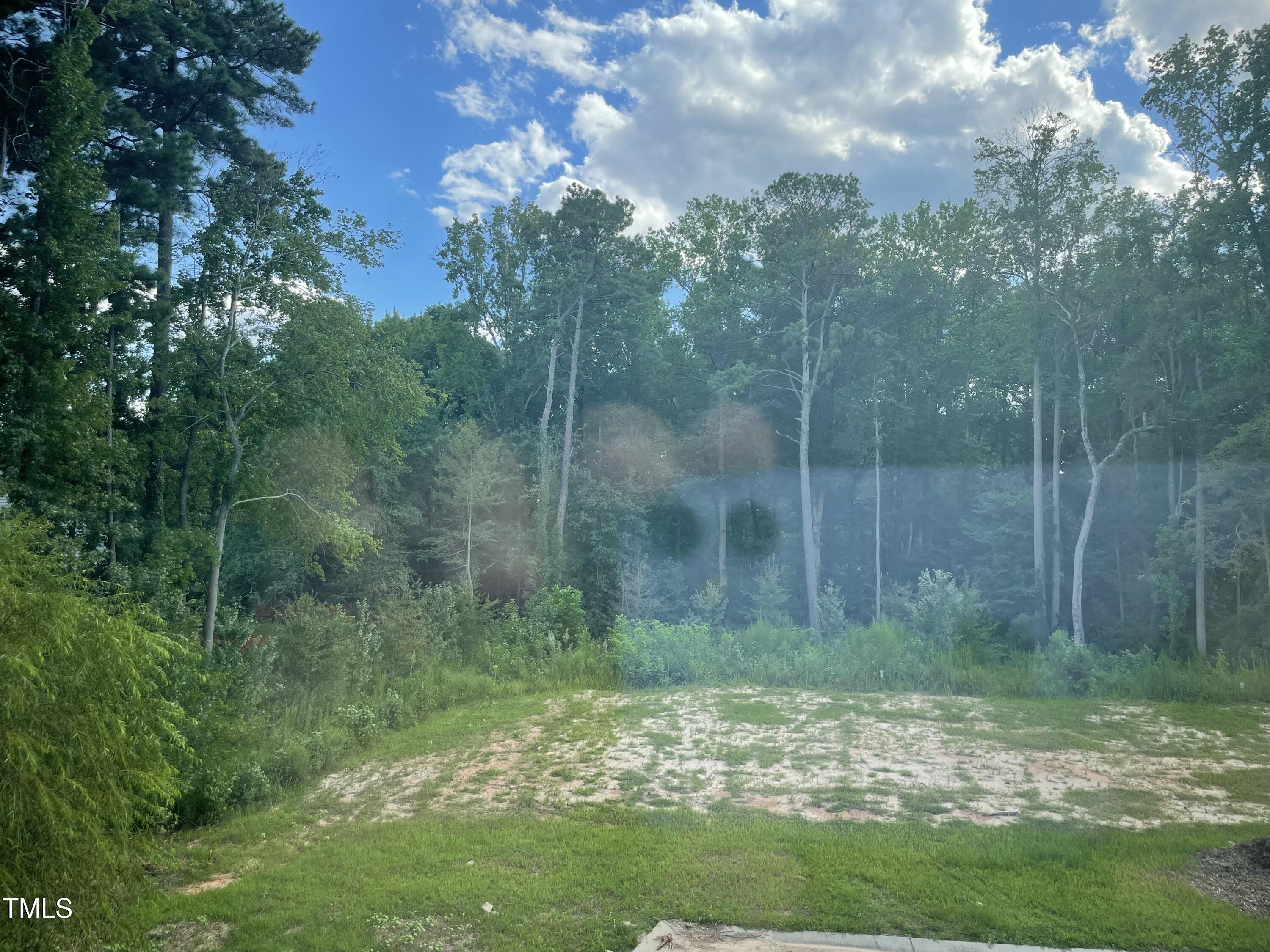 5502 Batoul Lane Raleigh, NC 27606 - Photo 28 of 35 a view of a yard with a tree