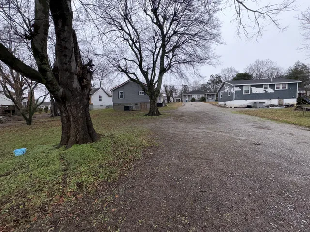 a view of a yard with a tree
