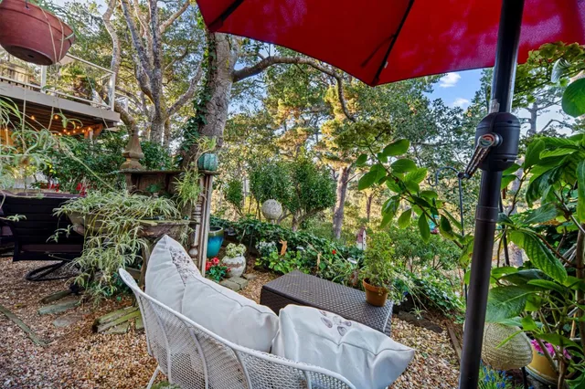 a living room with a stove a fireplace and a potted plant