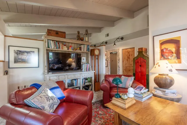 a living room with patio furniture and a potted plant