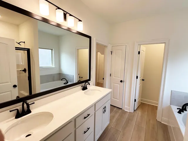 a bathroom with a sink a mirror and a shower