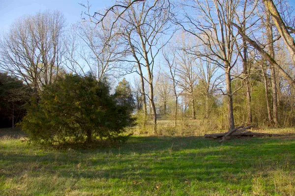 a view of backyard with green space
