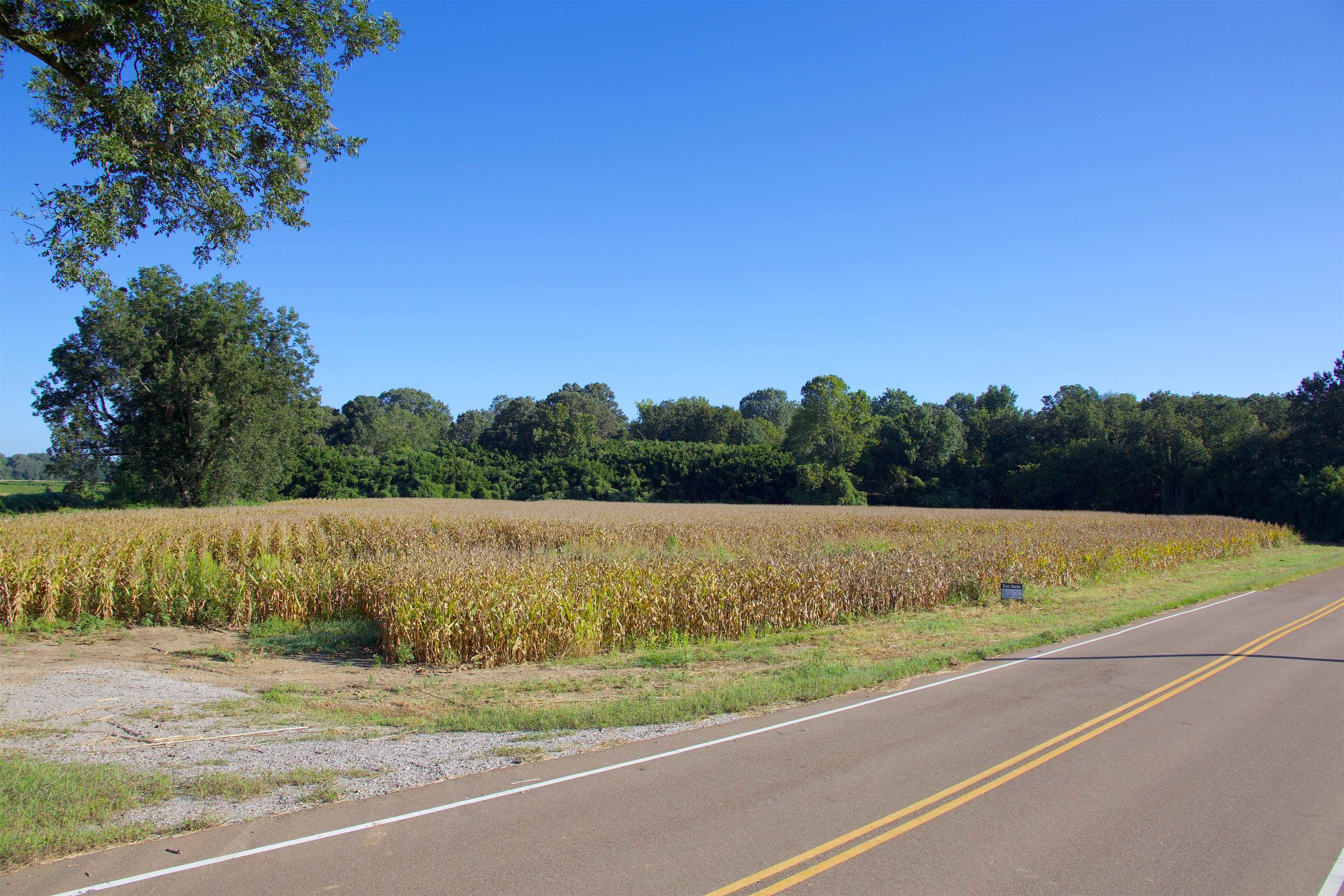 11925 Old Jackson Road Somerville, TN 38068 - Photo 12 of 14 a view of a yard with an outdoor seating