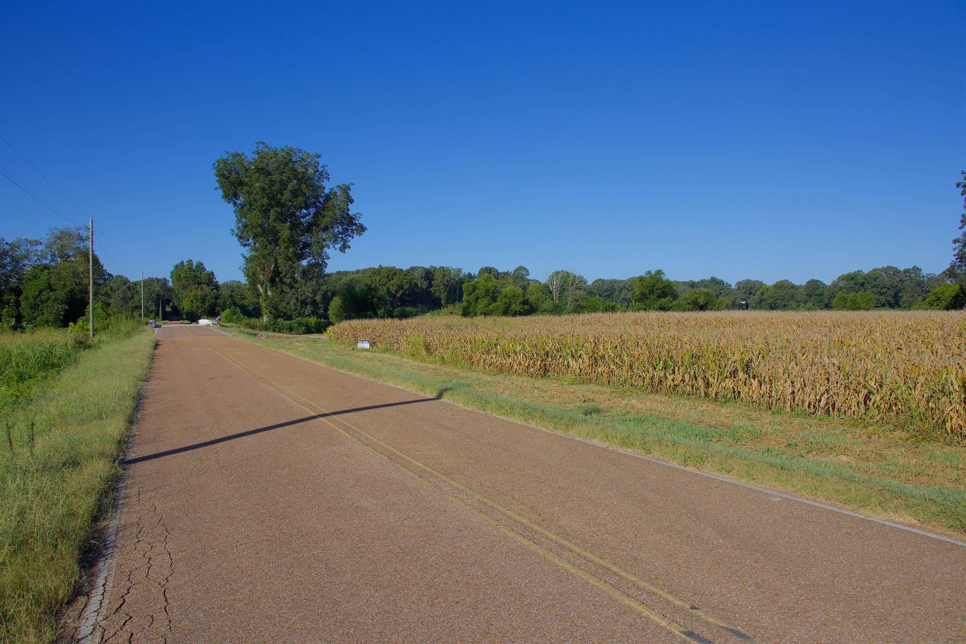 11925 Old Jackson Road Somerville, TN 38068 - Photo 13 of 14 a view of a lake with a yard