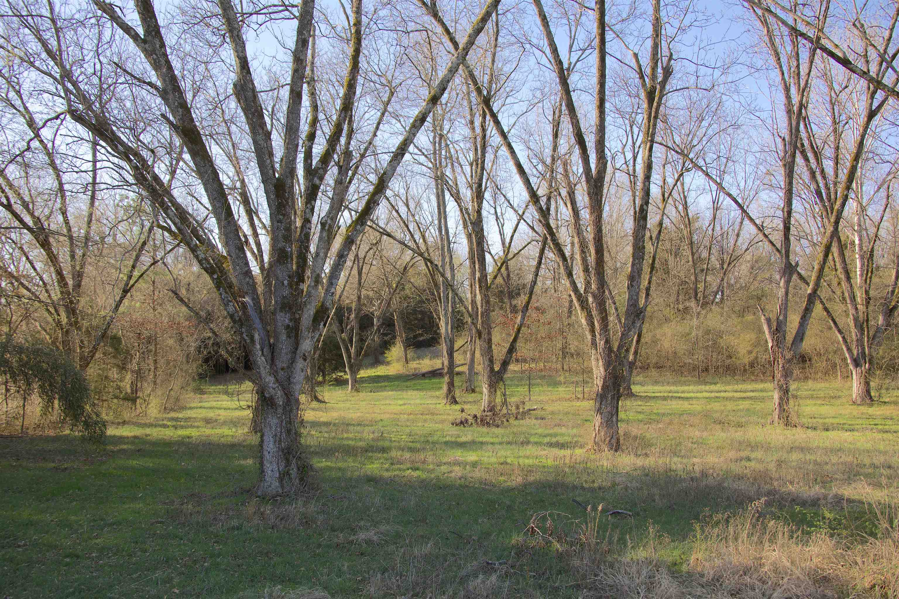 11925 Old Jackson Road Somerville, TN 38068 - Photo 2 of 14