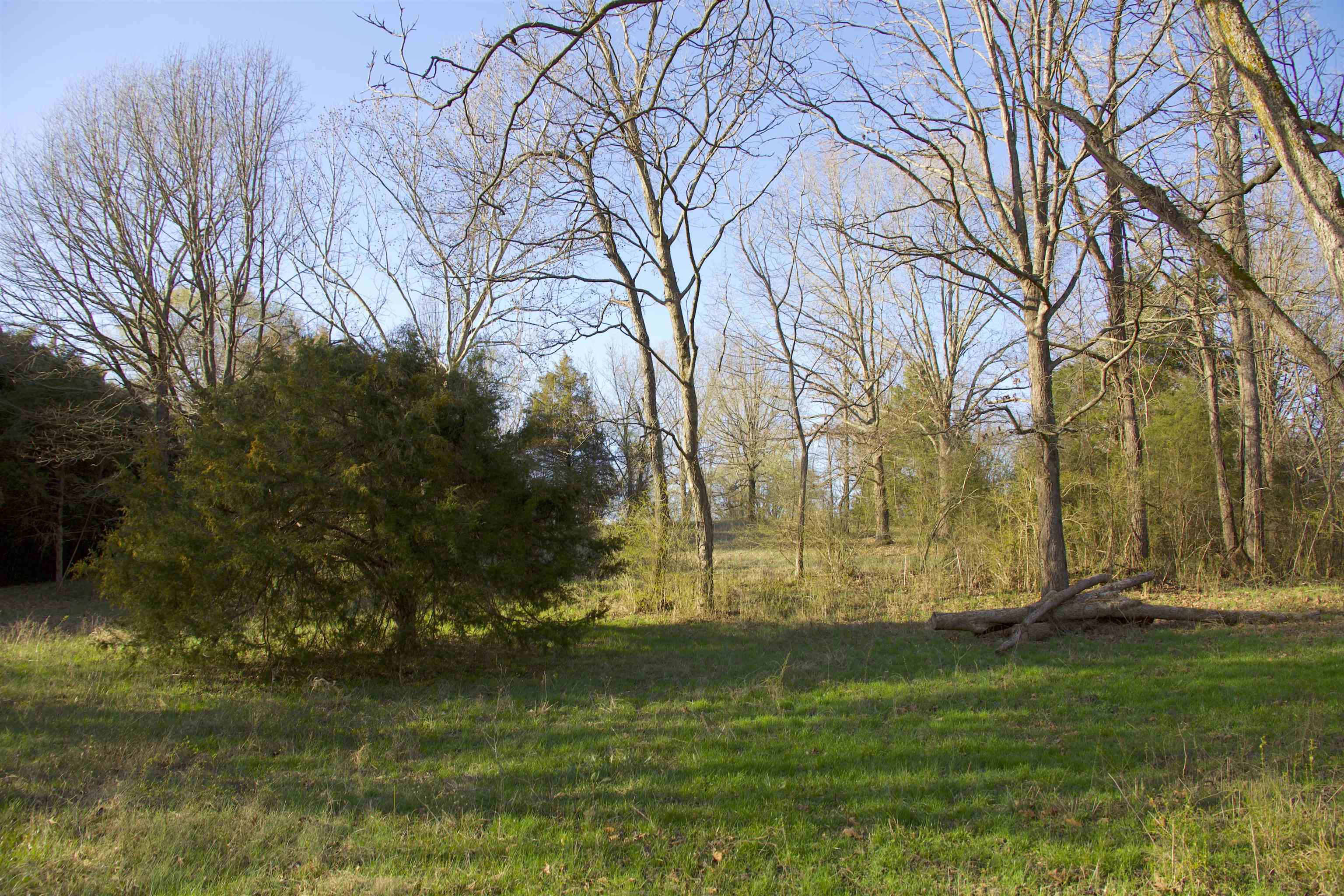 11925 Old Jackson Road Somerville, TN 38068 - Photo 2 of 14