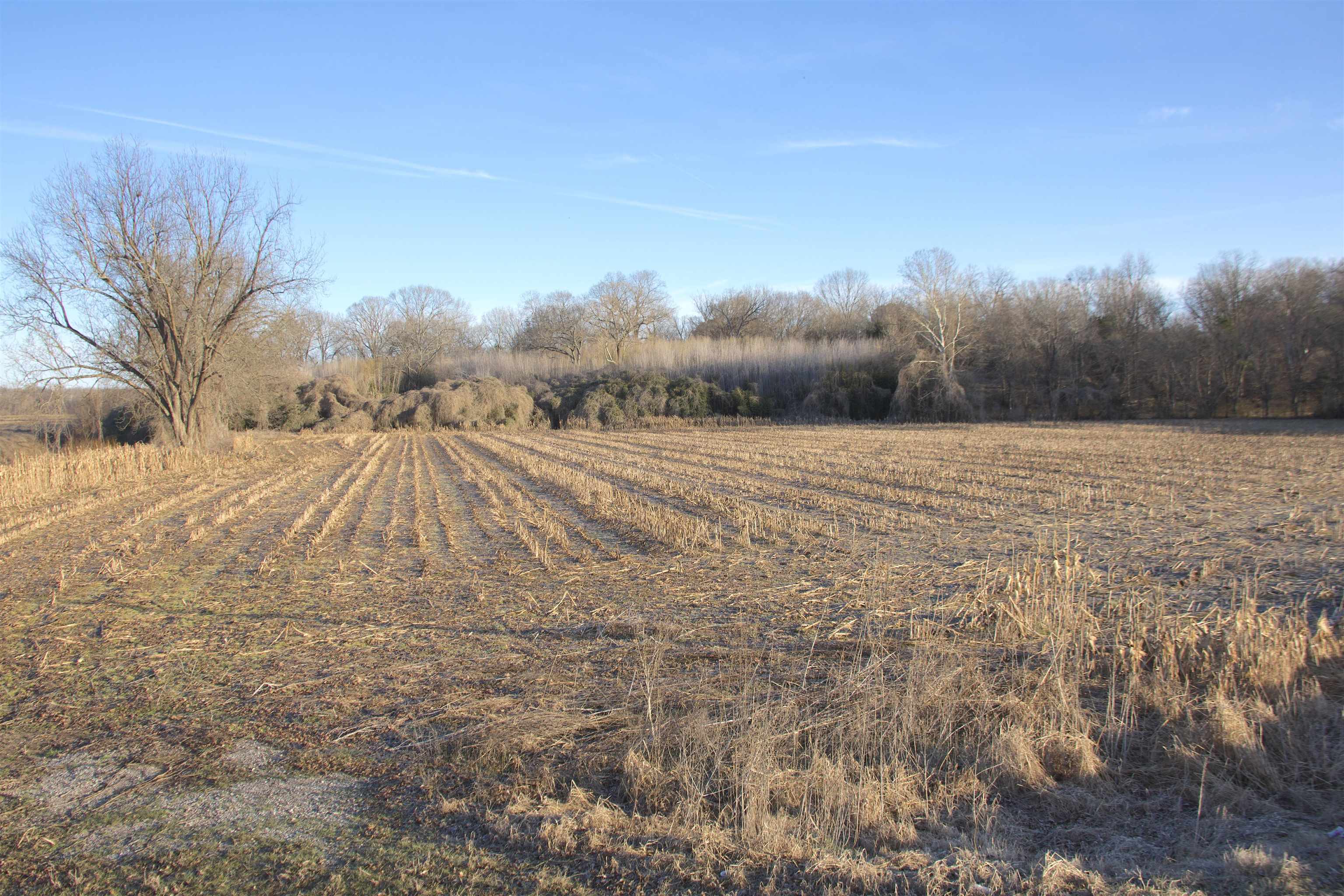 11925 Old Jackson Road Somerville, TN 38068 - Photo 6 of 14