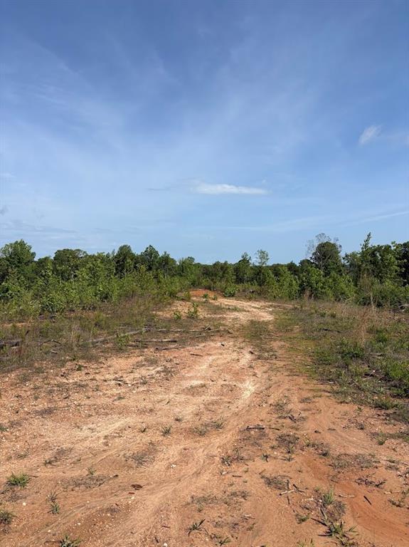 0 Roy Dean Road Buchanan, GA 30113 - Photo 13 of 24