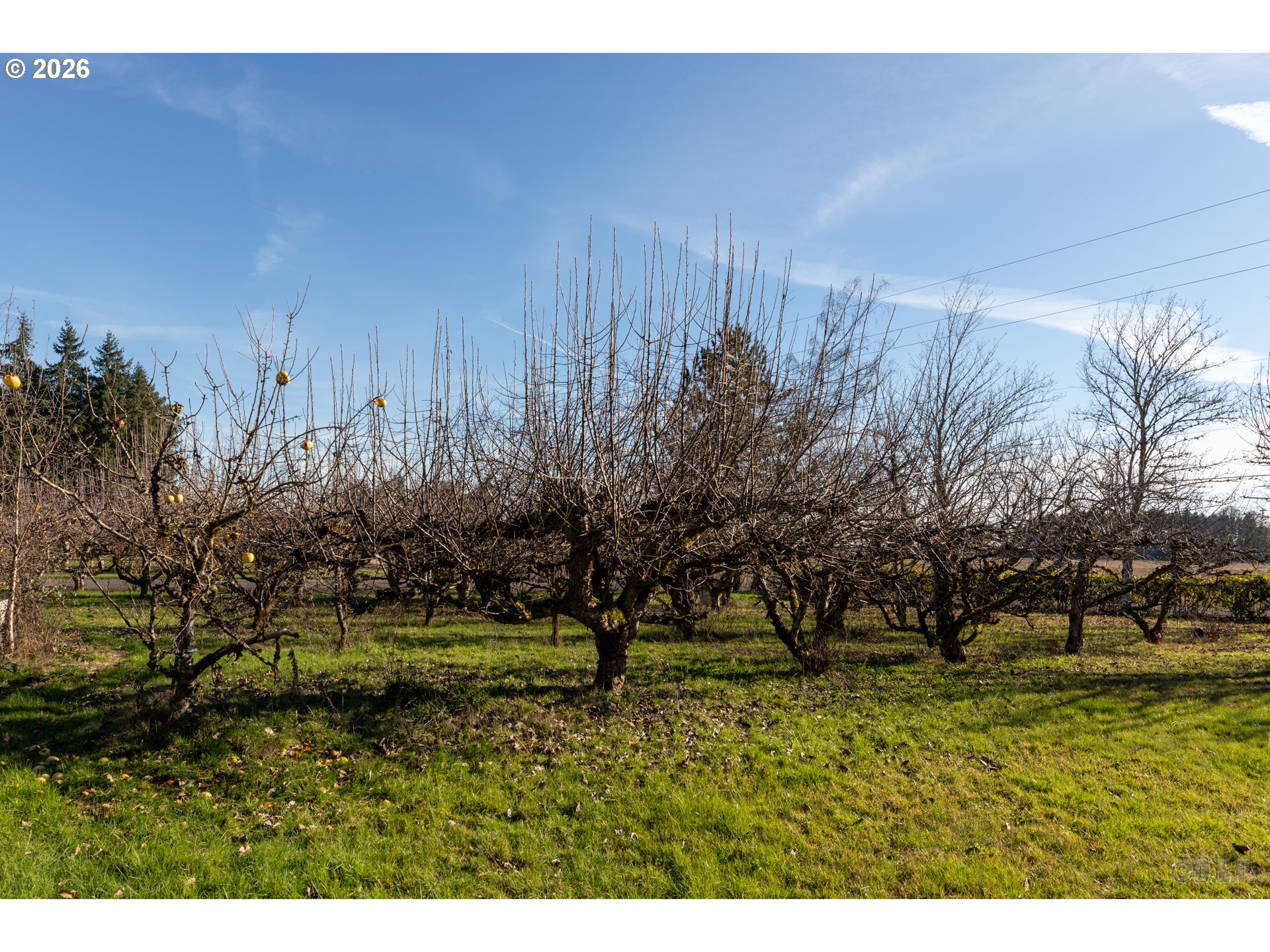 34085 Berg Road Warren, OR 97053 - Photo 37 of 47 Yard
