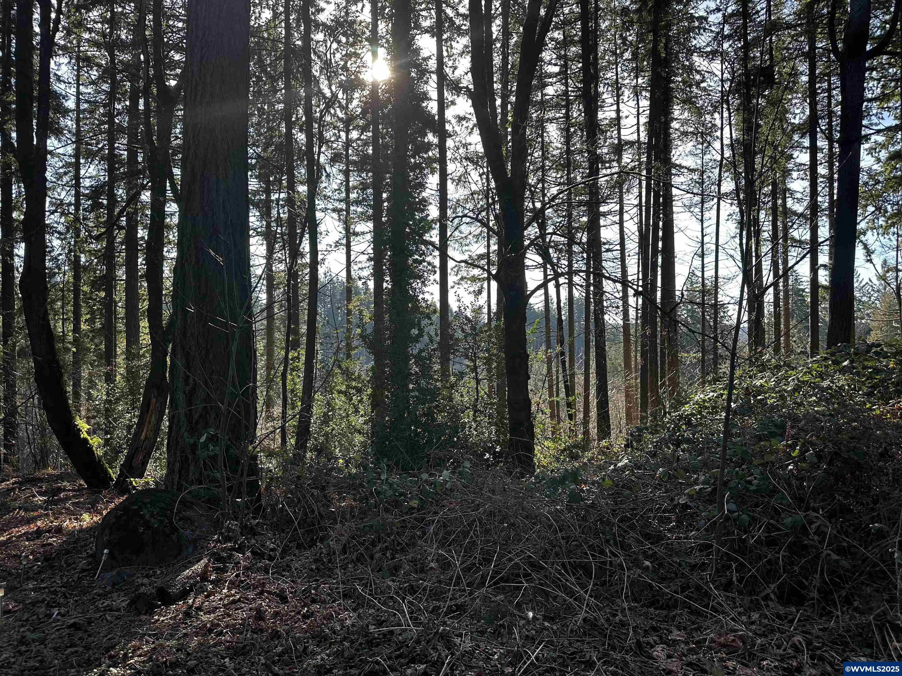 South Meyers (next To) Road Oregon City, OR 97045 - Photo 12 of 17