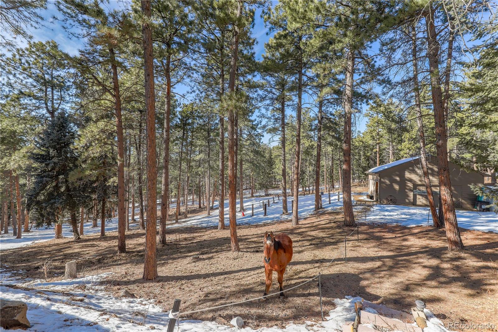 71 West Ranch Trail Morrison, CO 80465 - Photo 42 of 47 Gallery Image 42