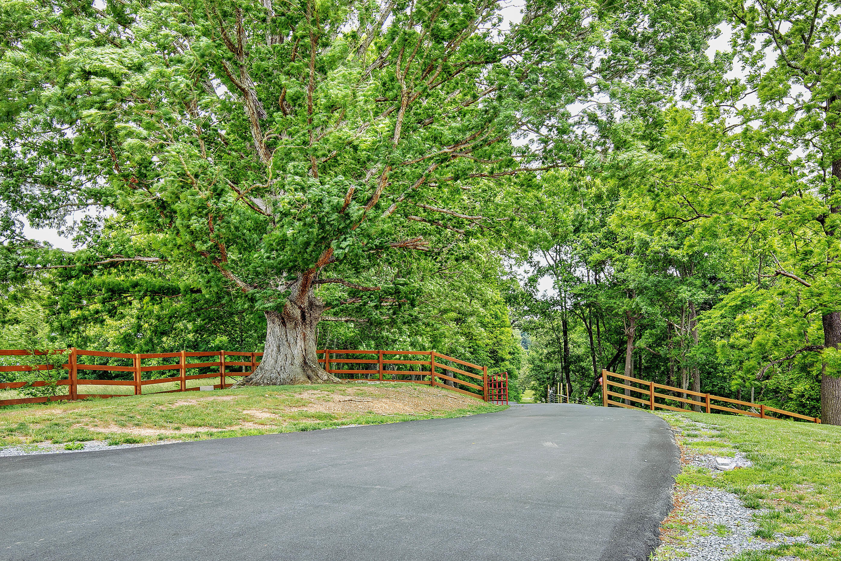 839 Ponderosa Road Nickelsville, VA 24271 - Photo 13 of 54 041_ponderosa-41