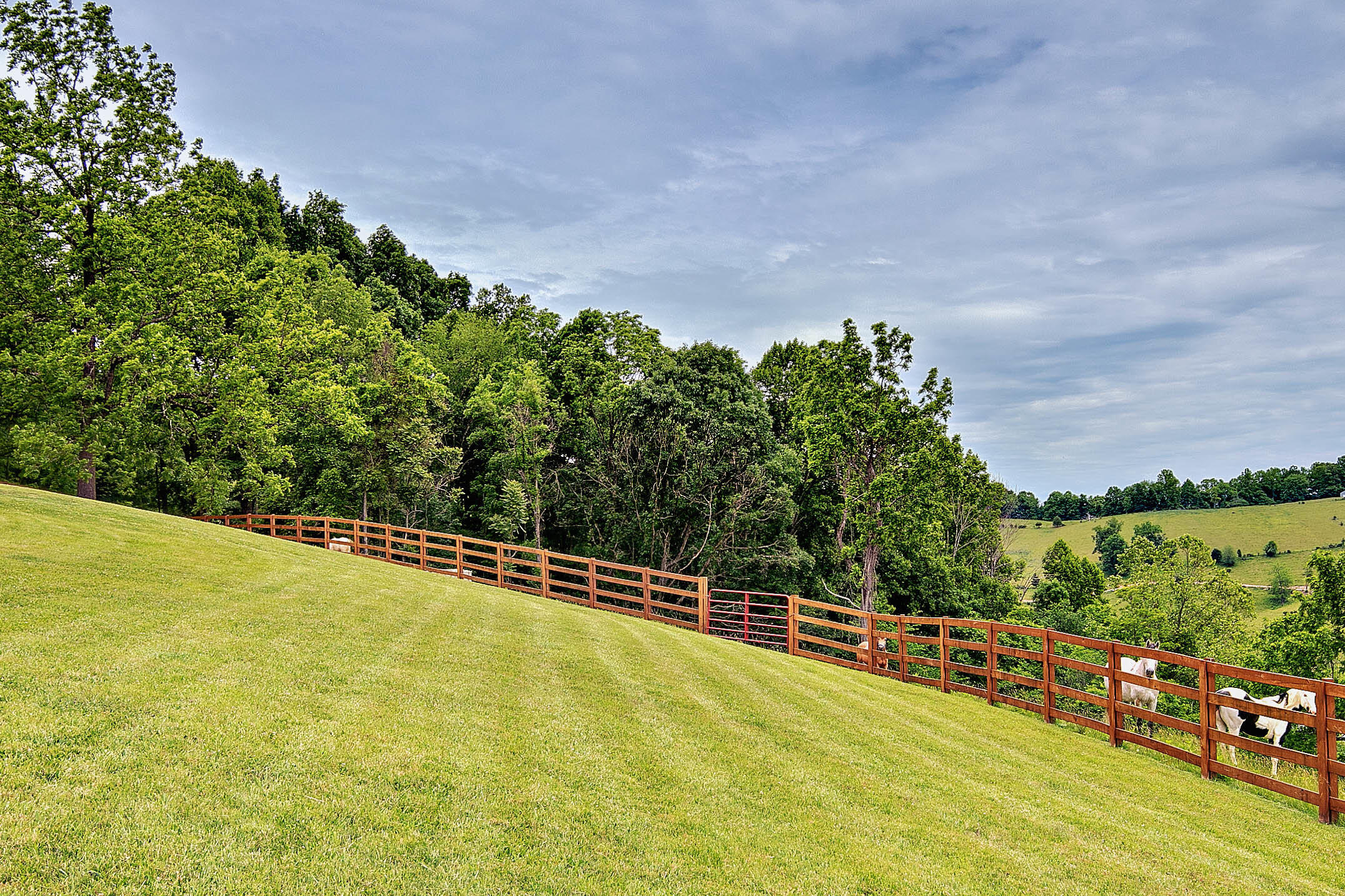 839 Ponderosa Road Nickelsville, VA 24271 - Photo 48 of 54 038_ponderosa-38