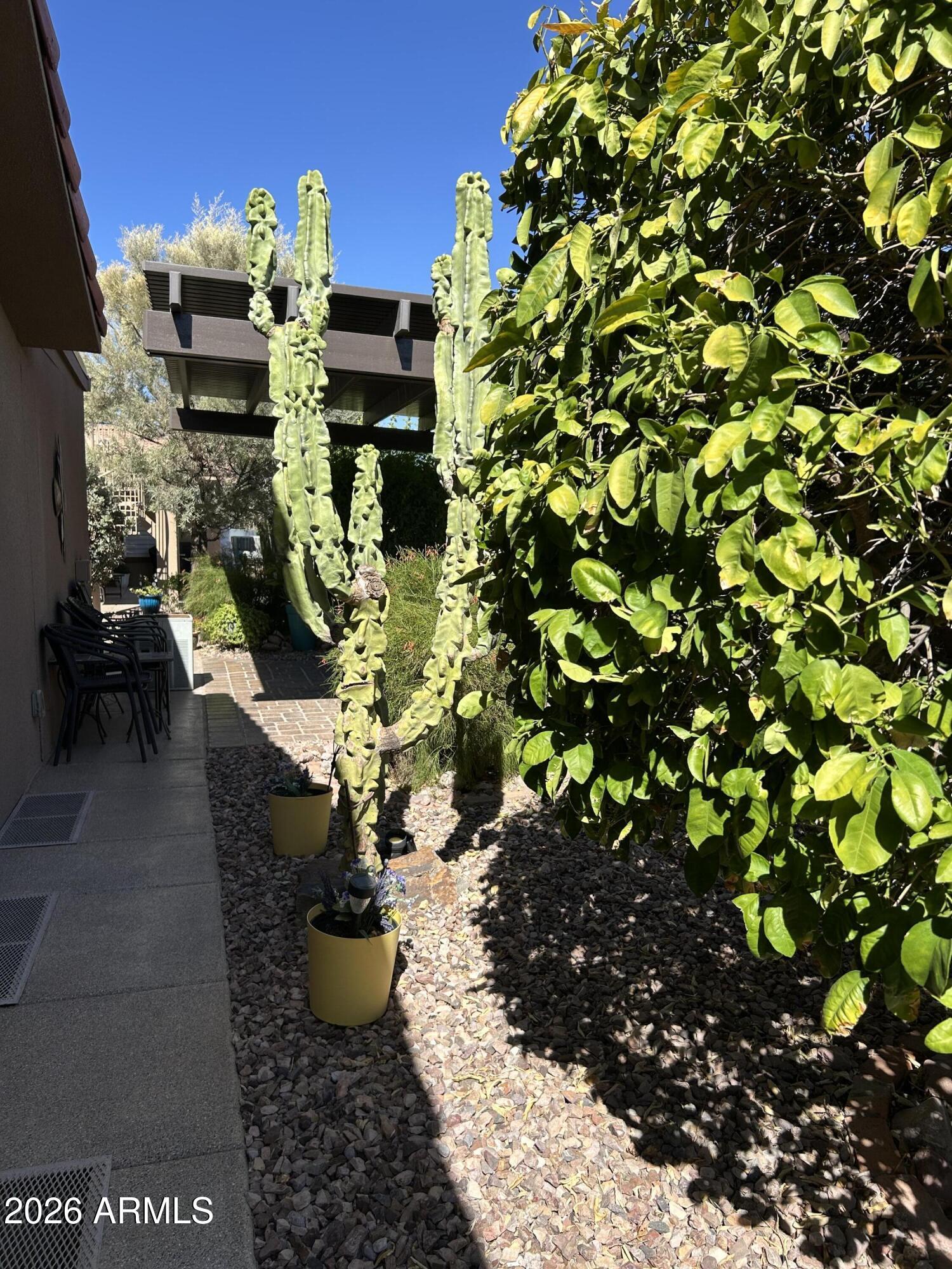 3301 South Goldfield Road, Unit 3030 Apache Junction, AZ 85119 - Photo 29 of 55 29) 64896-6a46cf5da6e8c